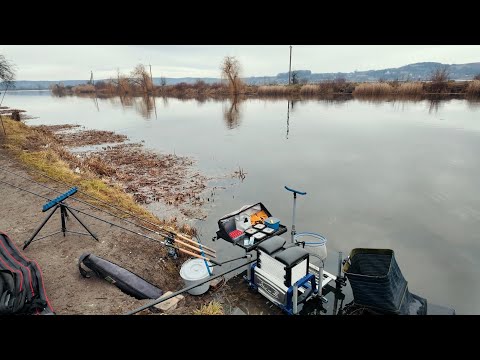 Видео: 500+ кг  за 5 годин. Звідки тут стільки риби?