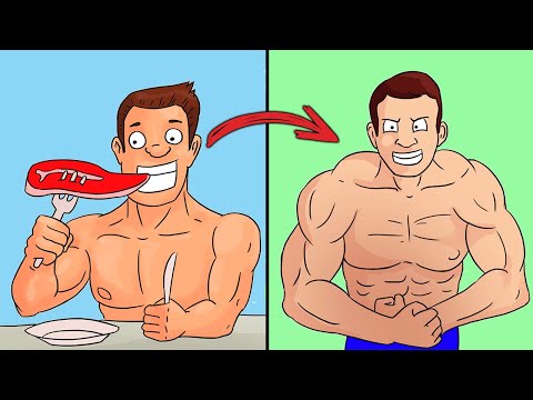 Видео: Сколько нужно есть Белка. Разбираем Мифы.