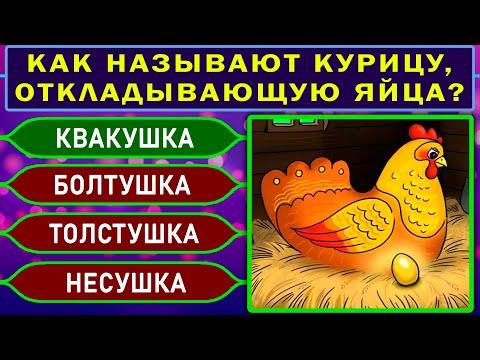 Видео: НАСКОЛЬКО СТАР ВАШ МОЗГ? Сложный тест на эрудицию и общие знания #насколькотыумный #эрудиция
