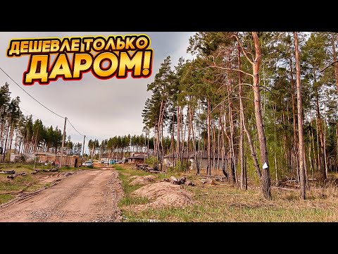 Видео: Всего 5 УЧАСТКОВ в пригороде Воронежа по ШИКАРНОЙ цене! Я себе купил!