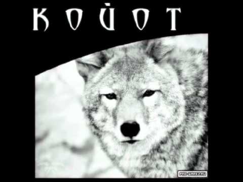 Видео: Койот - Брат Р.О.Й.Б.У.