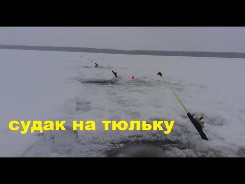 Видео: ТАМ ТРОФЕЙ.ЛОВЛЯ СУДАКА НА ТЮЛЬКУ. р.Волга