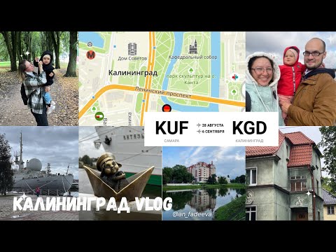 Видео: Калининград, VLOG. Полетели в отпуск с маленьким ребенком