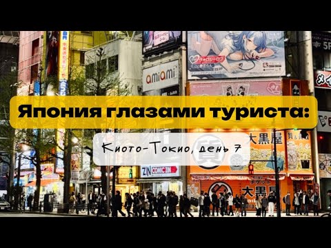 Видео: Япония глазами туриста 2025/ из Киото в Токио, день 7: жилье, цены, Акихабара, Nishi Honganji