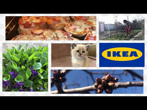 Видео: Мотивация на Огородные дела/Прополка чеснока/Взошел Кресс-салат/Весенние посадки/Икея-обзор