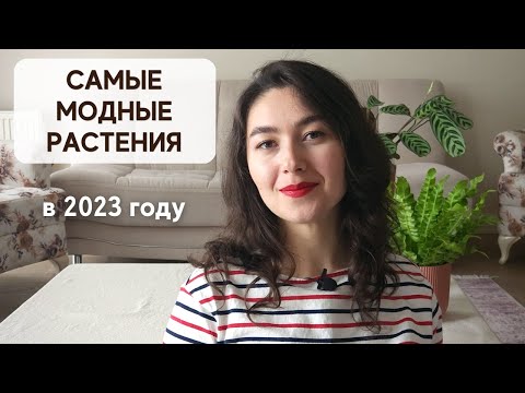 Видео: Какие РАСТЕНИЯ в моде в 2023 году? / Цветочные ТРЕНДЫ