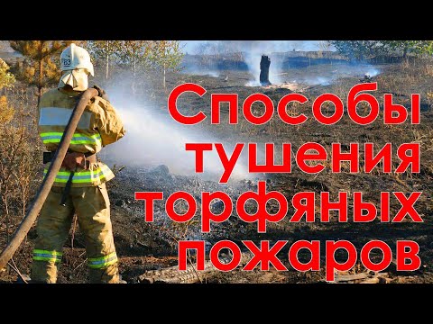 Видео: Тушение торфяных пожаров (открытая лекция профессора С.В. Залесова)