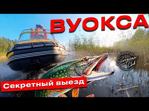 Видео: Вуокса: секретный выезд Scorpena Club на подводную охоту