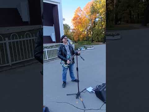 Видео: Насекомые Гражданская оборона