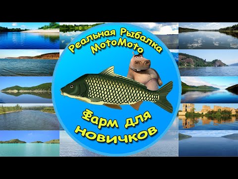 Видео: 🎣😎 Фарм для новичков на локациях высокого разряда 😉💪 [NEW] | Реальная Рыбалка