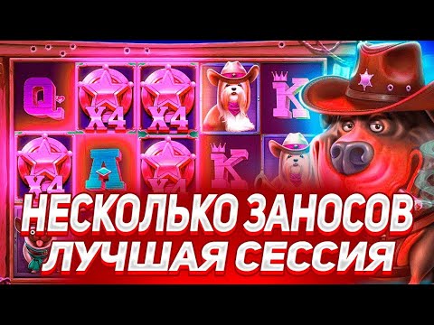 Видео: The Dog House Dog Or Alive ЗАНОС БОНУСКА ЗА 100К ДАЛА ЗАНОС НА 1******!!! МАКСВИН??