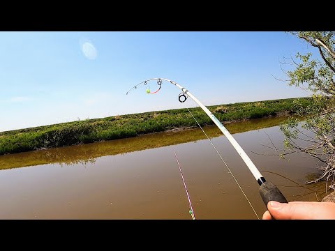 Видео: СПИННИНГИ В ДУГУ! ХИМИЯ СНОВА СРАБОТАЛА! КРУПНЫЕ КАРАСИ НА ПРУЖИНЫ И МИНИ-БОЙЛЫ. Рыбалка на донки