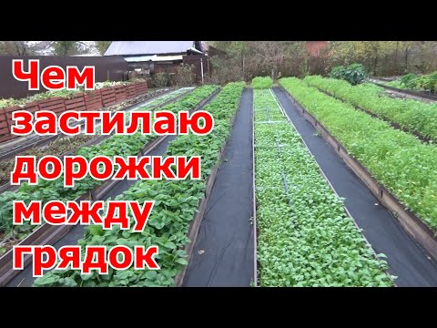 Видео: Дорожки (проходы) между грядками. Из чего мои дорожки между грядок, огород без сорняков и грязи