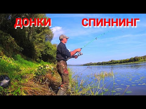 Видео: Много ОКУНЯ и ПЛОТВА вместо ЛЕЩА. Рыбалка на СПИННИНГ и ДОНКИ на ОКЕ.
