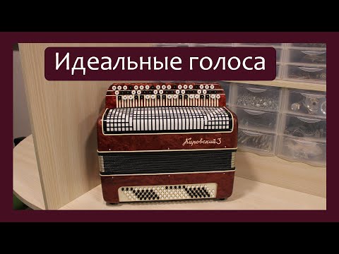 Видео: Трудовые будни / Ремонт Баяна "Кировский-3"