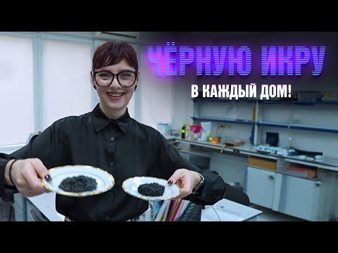 Видео: Бюджетная икра и клоны. Код учёных. КОД УЧЁНЫХ