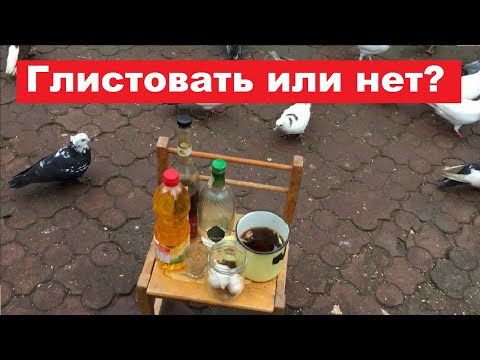 Видео: Можно ли глистовать голубей в период линьки?