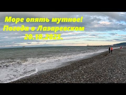 Видео: Море опять мутное! Погода в Лазаревском 20.10.2025.