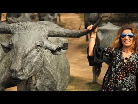 Видео: Орёл и Решка - 30 ВЫПУСК  ДАЛЛАС  / Сезон 2 серия 15 / 2011 / HD 1080p