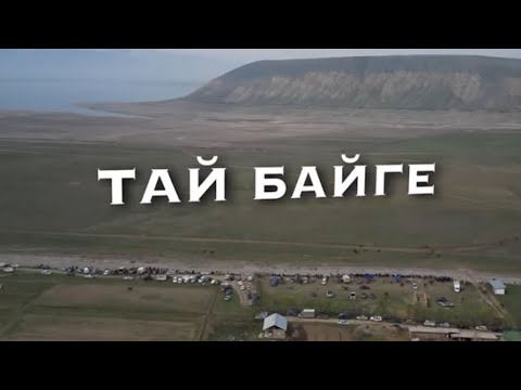 Видео: 06 Апрель 2025 ж. Токтогул районуну Ат чабыш Федерациясынын Президентинин кубогу. Тай Байге
