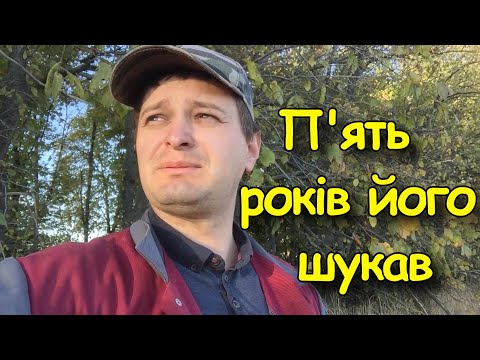 Видео: Знайшов рідкісну монету на полі. Коп монет 2024