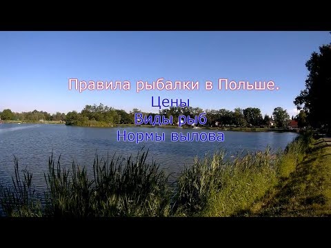 Видео: Рыбалка в Польше. Сколько стоит и какие правила.