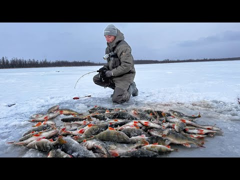 Видео: СТЫНЕТ КРОВЬ ОТ ТАКОЙ РЫБАЛКИ!! БЕЗУМНЫЙ КЛЁВ КРУПНЯКА и жареные караси! Рыбалка по первому льду.