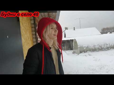 Видео: Цены на корма в Липецке//Убираем вьетнамских свиней из нашего хозяйства.