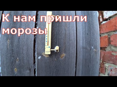 Видео: Свиньи в морозы / Работа щелевого пола