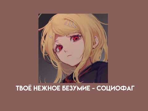 Видео: твоё нежное безумие - социофаг (speed up)