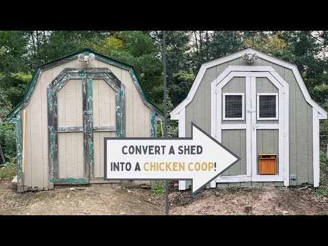 Видео: Как переоборудовать сарай в курятник!