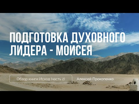 Видео: Исход 2 глава | Подготовка духовного лидера (Моисея) | Алексей Прокопенко