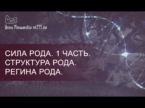 Видео: Сила Рода. 1 часть. Структура Рода. Регина Рода.