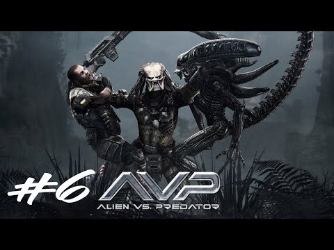 Видео: Дуэль С Хищником  ► Aliens vs Predator Прохождение Часть 6