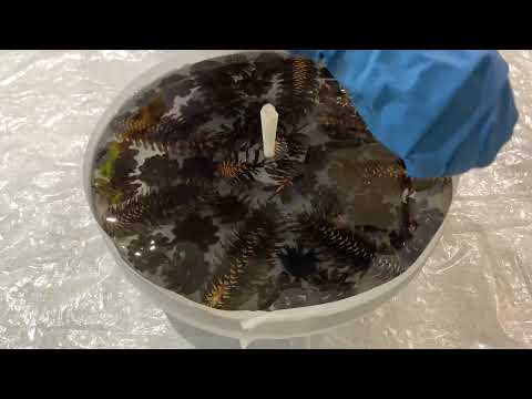 Видео: Часы из эпоксидной смолы с шишками. Часть 2.