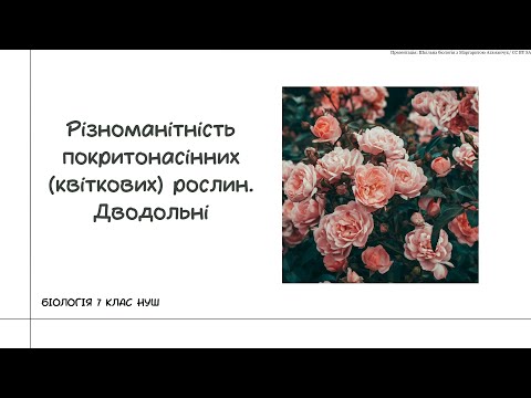 Видео: Біологія 7 клас НУШ  Різноманітність покритонасінних квіткових рослин  Дводольні