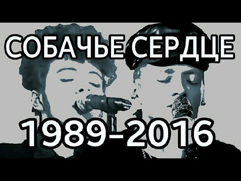 Видео: Собачье сердце 1989 - 2016