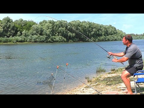 Видео: САЛО + ОПАРЫШ отличная насадка ! Рыбалка на " ДОНКУ" и ФИДЕР !