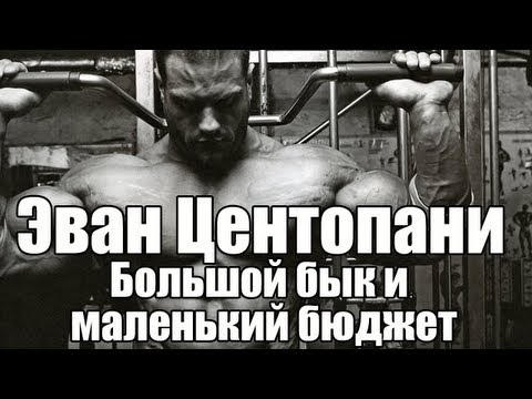 Видео: Animal - Эван Центопани - Большой бык и маленький бюджет (RUS)