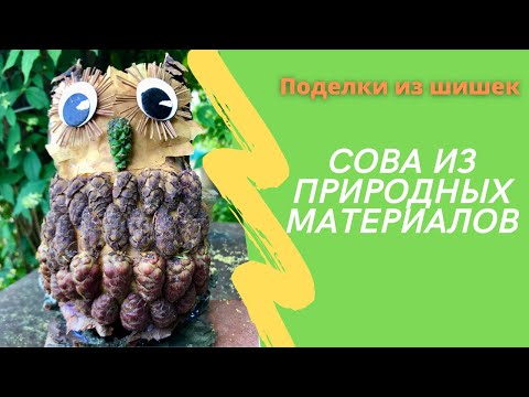 Видео: Сова из природных материалов