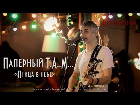 Видео: Паперный T.A..M... «В небе птица»