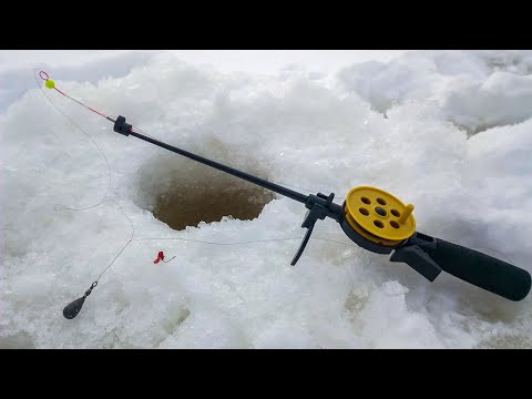 Видео: ДУРЬЯ УДОЧКА в ДЕЛЕ! Плотва и густера ЗАГИБАЕТ кивок! Рыбалка зимой в 2022