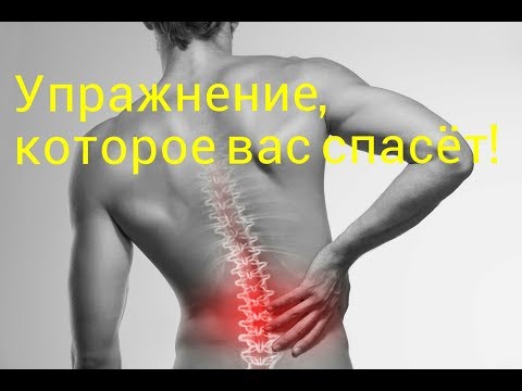 Видео: Как избавиться от Болей в Спине? Лучший способ