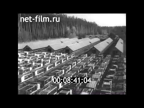 Видео: 1965г. п. Бирюли. зверосовхоз. Высокогорский район Татарстан
