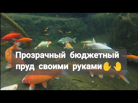 Видео: Бюджетный пруд из простой плëнки. (Пруд первый)