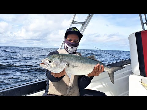 Видео: Рыбалка на удочку — залив Пария — Патос — мы раздали всё, что поймали! — Тринидад, Карибские острова