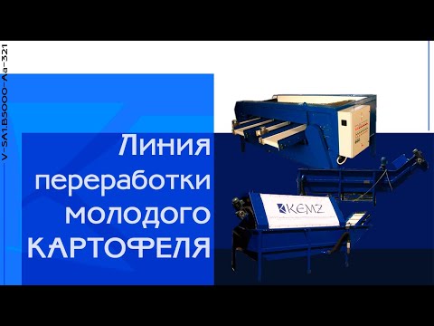 Видео: Линия мойки и фасовки в пластиковый ящик молодого картофеля I 30 тонн в час I КЭМЗ I Каховка