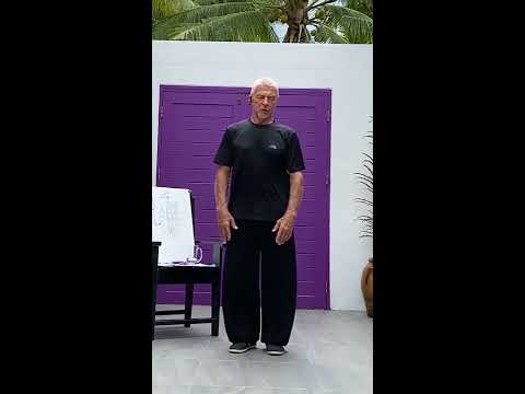 Видео: Подготовительные упражнения к практике "Столб". Часть 2