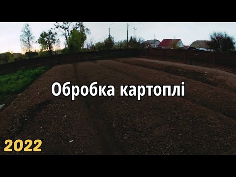 Видео: Обробка картоплі після посадки/Боронування картоплі граблями на Поліссі/Вирощування картоплі/Етап 1