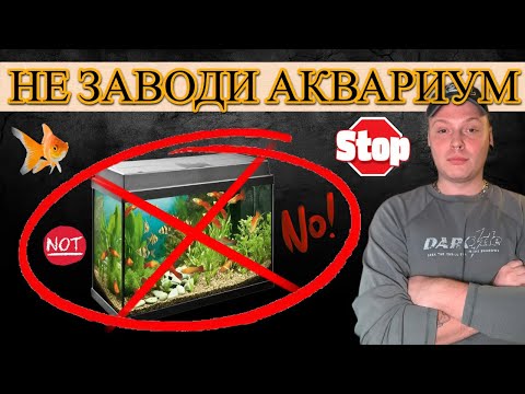Видео: НЕ ЗАВОДИ АКВАРИУМ,ПОКА НЕ ПОСМОТРИШЬ ЭТО ВИДЕО.